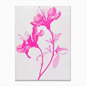 Hot Pink Honeysuckle 2 Canvas Print