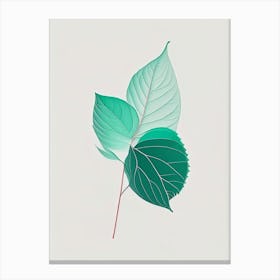 Mint Leaf Abstract 3 Canvas Print