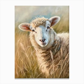 Sheep In The Grass 1 Canvas Print