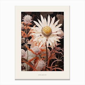 Flower Illustration Edelweiss 2 Poster Canvas Print