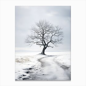 Winter Tree 3 Canvas Print