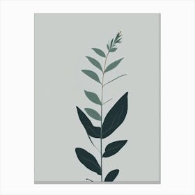 Comfrey Herb Simplicity Canvas Print