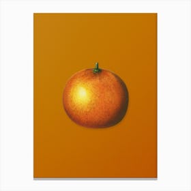 Vintage Orange Botanical on Sunset Orange n.0391 Canvas Print