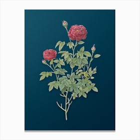 Vintage Burgundy Cabbage Rose Botanical Art on Teal Blue n.0771 Canvas Print