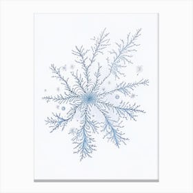 Fernlike Stellar Dendrites, Snowflakes, Pencil Illustration 3 Canvas Print
