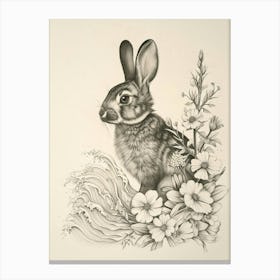 Beveren Rabbit Drawing 2 Canvas Print