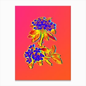 Neon Almond Leaved Pear Botanical in Hot Pink and Electric Blue n.0395 Canvas Print