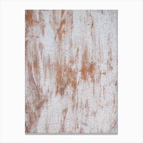 Wall Texture Photo Canvas Print