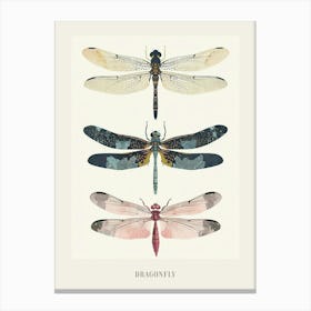 Colourful Insect Illustration Dragonfly 8 Poster Canvas Print