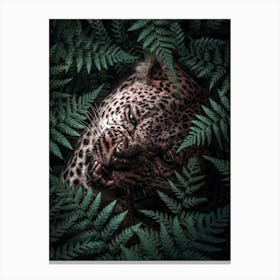 Leopard In Ferns Canvas Print