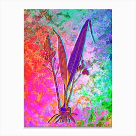 Pine Pink Botanical in Acid Neon Pink Green and Blue Canvas Print