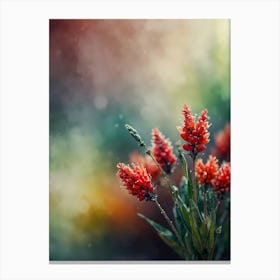 Bokeh 1 Canvas Print