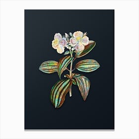 Vintage Starry Osbeckia Flower Botanical Watercolor Illustration on Dark Teal Blue n.0405 Canvas Print