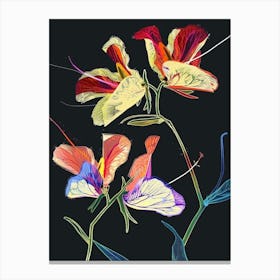 Neon Flowers On Black Sweet Pea 2 Canvas Print