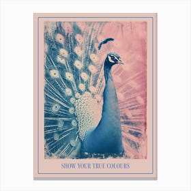 Pink & Blue Peacock Cyanotype Inspired 2 Canvas Print
