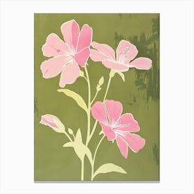 Pink & Green Evening Primrose 2 Canvas Print