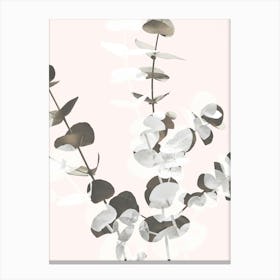Eucalyptus Leaves_2061447 Canvas Print