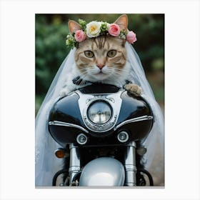 Cat In Wedding Dress 1 Canvas Print