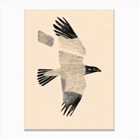 Eagle In Flight 3 Canvas Print