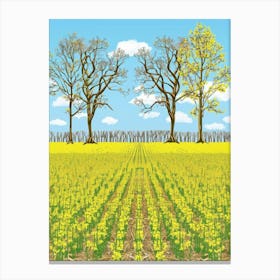 Rapeseed Field 1 Canvas Print