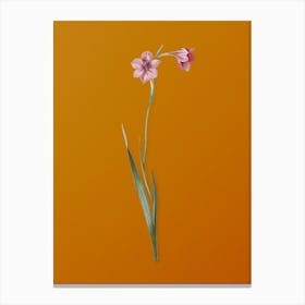 Vintage Sword Lily Botanical on Sunset Orange n.0464 Canvas Print