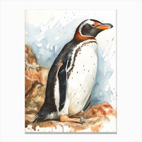 Humboldt Penguin Volunteer Point Watercolour Painting 4 Canvas Print