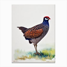 Grouse Watercolour Bird Canvas Print