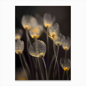 Flowers In The Dark Canvas Print