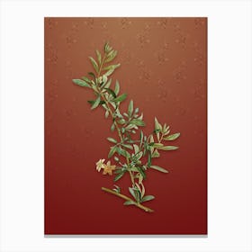 Vintage Goji Berry Botanical on Falu Red Pattern n.2587 Canvas Print