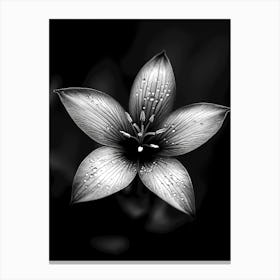 Black And White Flower Canvas Print