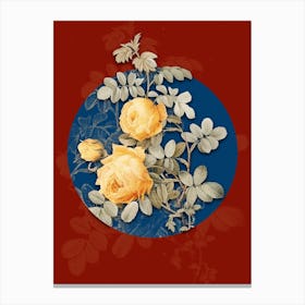 Vintage Botanical Vintage Sulphur Rose on Circle Blue on Red n.0300 Canvas Print