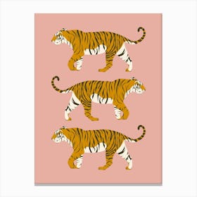 Walking Tiger Trio - Pink Canvas Print
