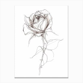 English Rose Black And White Line Drawing 39 Canvas Print