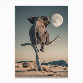 Elephant In The Desert Canvas Print