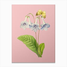 Vintage Canterbury Bells copy Botanical on Soft Pink n.0023 Canvas Print