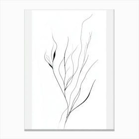 Black And White Drawing Of A Plant 2 Canvas Print