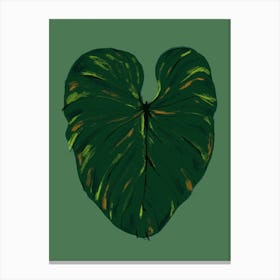 Philodendron Gloriosum Green Canvas Print
