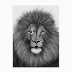 Black & White Lion Portrait Canvas Print