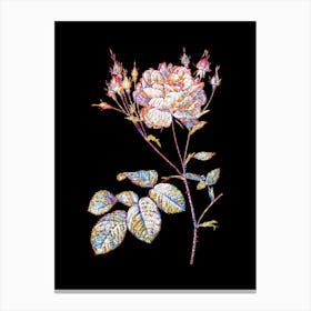 Stained Glass Pink Cumberland Rose Mosaic Botanical Illustration on Black n.0224 Canvas Print