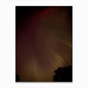 Beautiful Northern Lights Canvas Print