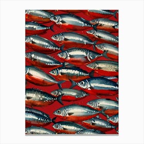 Sardines 22 Canvas Print