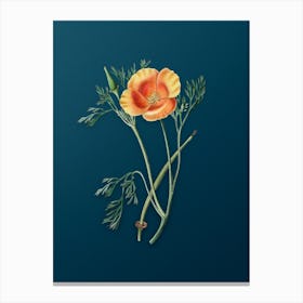 Vintage Saffron Colored Eschscholzia Botanical Art on Teal Blue n.0182 Canvas Print