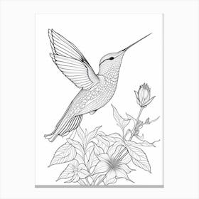 Anna S Hummingbird William Morris Line Drawing 2 Canvas Print