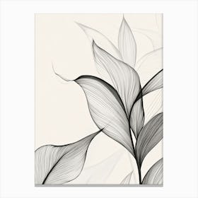 Black And White Leaves 1 Canvas Print