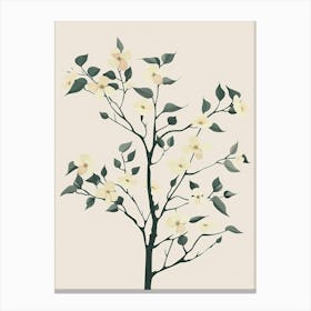 Dogwood Tree Minimal Japandi Illustration 2 Canvas Print