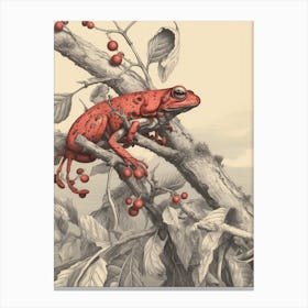 Red Tree Frog Vintage Botanical 8 Canvas Print