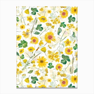 Scandinavian Midsummer Yellow Wildflowers Meadow Canvas Print