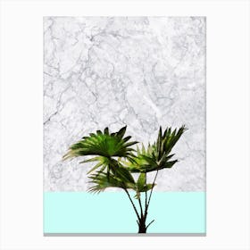 Palm Plant on Marble and Pastel Blue Wall Canvas Print