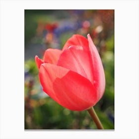 Red Tulip Canvas Print