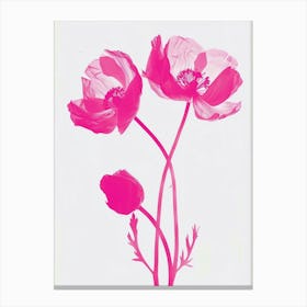 Hot Pink Buttercup Canvas Print